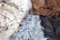 Huacaya fleece, roving and yarn