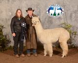 2021 CABA Show