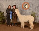 2021 AWE Show