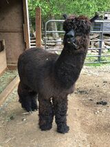 Beautiful Head!