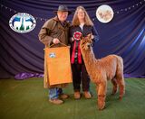 Reserve Champion Walking Fleece