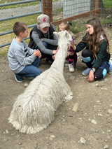 Jewel with Visitors 2025