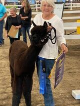 His first show and Championship