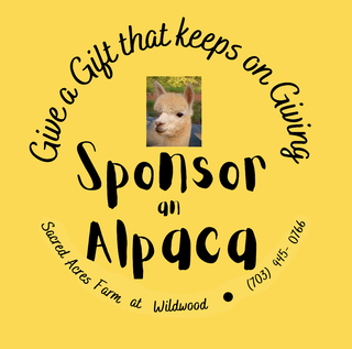 Photo of Sponsor an Alpaca-Level 1