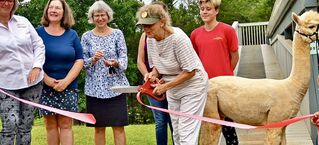 MaryJane Cathers, owner of Sacred Acres Alpaca Farm, cutting the ribbon during the 5 year celebration.