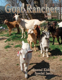 Featured in the January issue of Goat Rancher (pages 12-14).