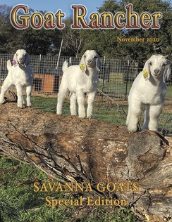 Featured in the November issue of Goat Rancher (page 25-26).