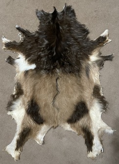 Photo of Goat Pelt - Tan w/Dark Brown Sweater
