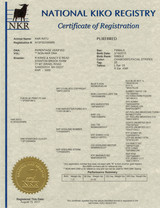 NKR Registration