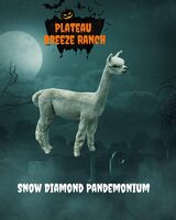 Snow Diamond Pandemonium-October 2022