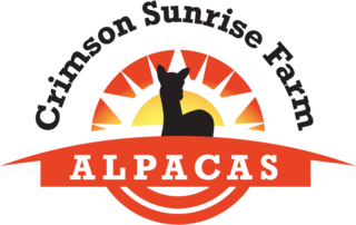 Crimson Sunrise Farm Alpacas