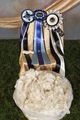 2012 MAPACA Cottage Fleece Champion