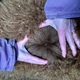 Impression's fleece at 4 months