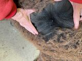 Un-tipped fleece at 10 months