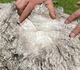 May 2021 fleece shot