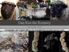 Photo of Dan Roe's Gray Romney Yarn