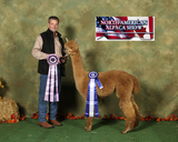 1sr and reserve color champion