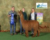 2022 Illinois Alpaca Show