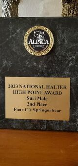2023 National Halter High point 2nd place