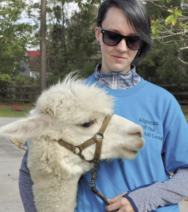 Residents enjoy day with alpacas