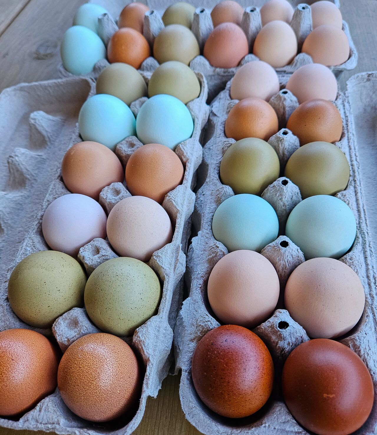 Rainbow eggs!