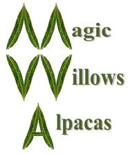 Magic Willows Alpacas - Logo