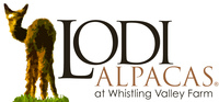 Lodi Alpacas at Whistling Valley Farm - Logo