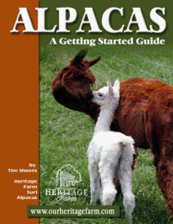 Alpacas Getting Started Guide