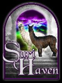 Suri Haven Alpaca Champions - Logo