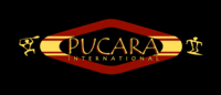 Pucara International - Logo