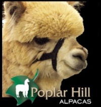 POPLAR HILL ALPACAS - Logo