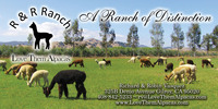 R & R Ranch  - Logo
