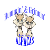 Hummin' & Grinnin' Alpacas - Logo