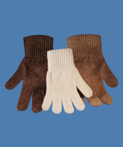 Photo of Alpaca Gloves