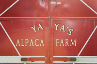 YaYa's Alpaca Farm   - Logo