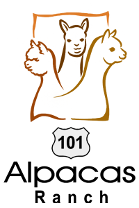 101 Alpacas Ranch - Logo