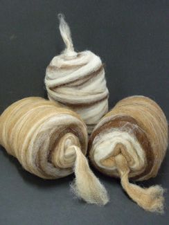 Photo of Rovings Varigated Natural Colors