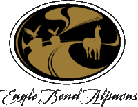 Eagle Bend Alpacas - Logo