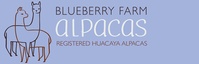 Blueberry Farm Alpacas, LLC - Logo