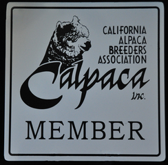 Calpaca Member Sign