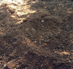 Composted Alpaca Manure