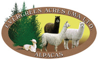 Evergreen Acres Alpacas - Logo