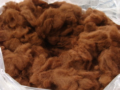 Raw Huacaya Fleece