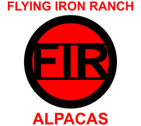 Flying Iron Ranch - Logo