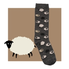 Photo of Sheep Socks