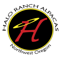 Halo Ranch Alpacas - Logo