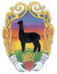 Claddagh Farm - Logo