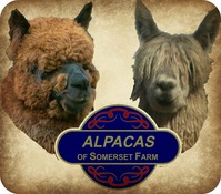 Alpacas of Somerset Farm - Logo