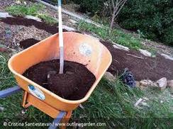 Natural soil enhancer for your garden