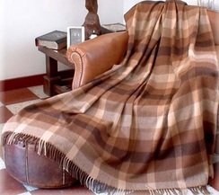 Photo of Classic Brown Plaid Throw